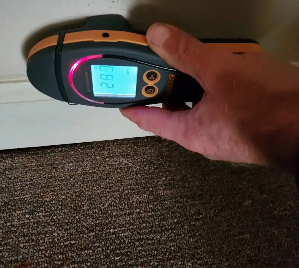 Moisture detection at baseboard during Mold Inspection & Testing in Wynne